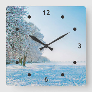Photography - beautiful Winter Park + your ideas Square Wall Clock
