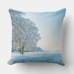 Photography - beautiful Winter Park + your ideas Throw Pillow
