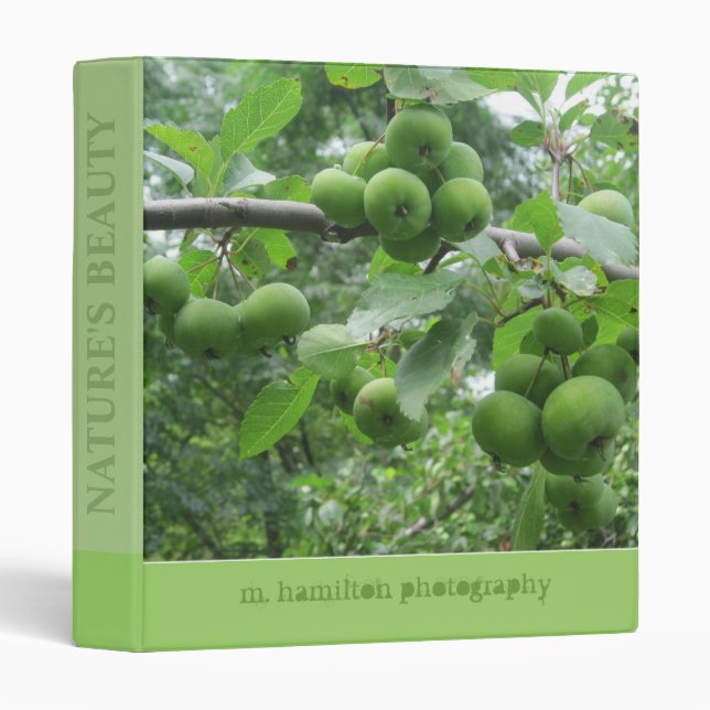 Photography Binder (Front/Spine)