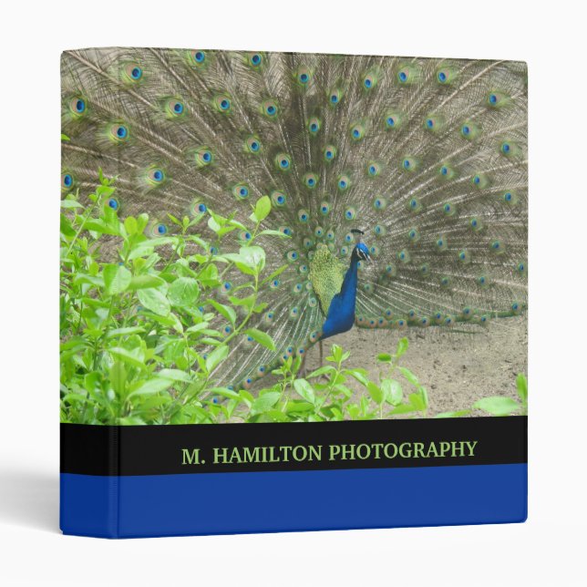 Photography Binder (Front/Spine)