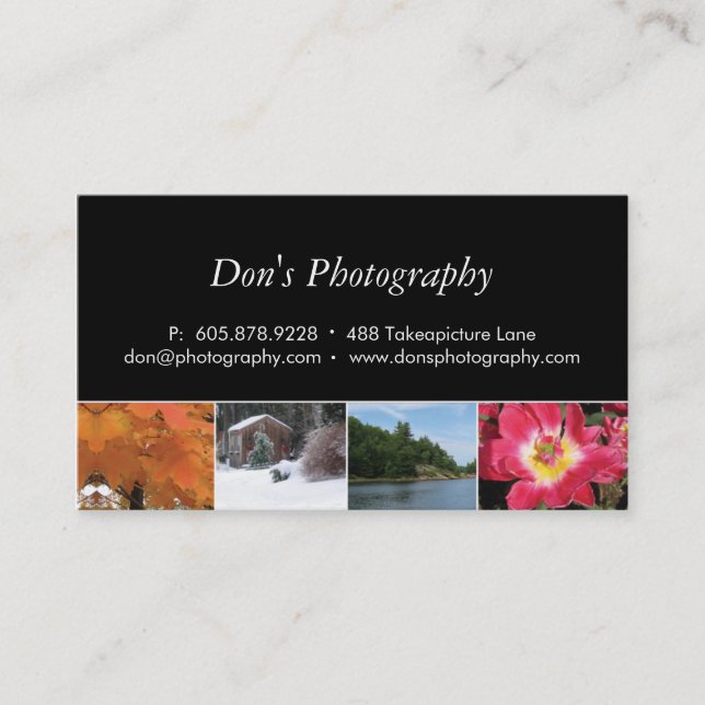Photography Business Card 4 Seasons (Front)