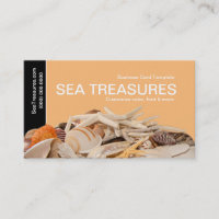 Photography Corals & Shells