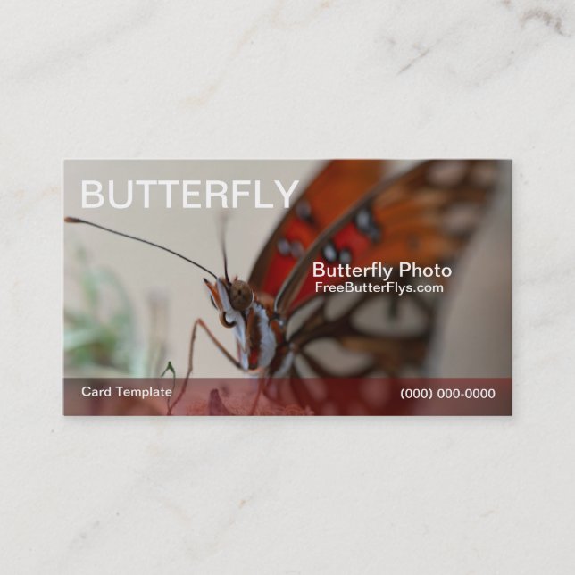Photography Gulf Butterfly Template Business Card (Front)