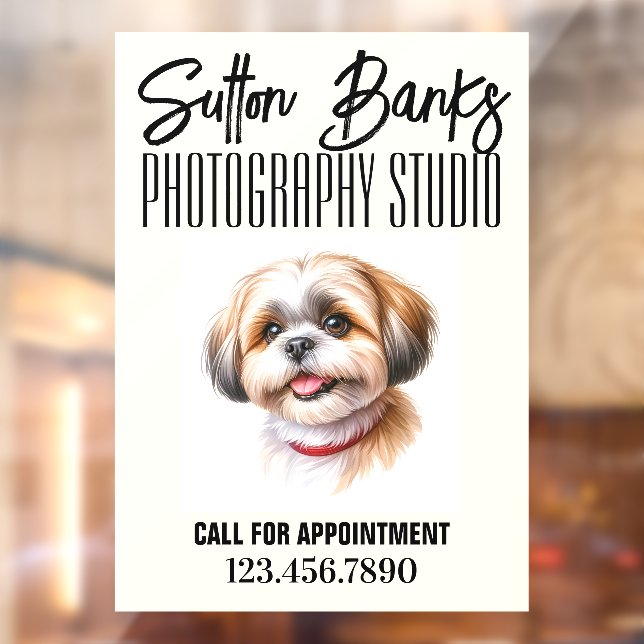 Photography Studio Window Cling (Sheet 2)
