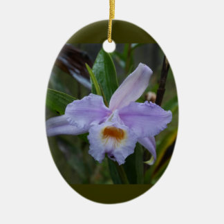 Photos Ceramic Ornament