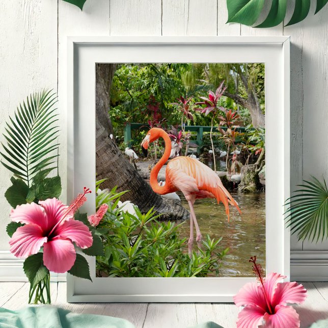 Photos de Voyage en Floride Posters (Tropical gifts pink flamingo photography by Victoria Grigaliunas Bonita Springs Wonder Gardens)
