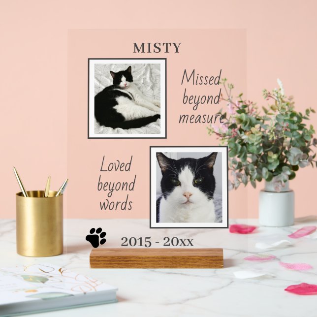 Photos Et Citations De Cat Pet Memorial (Mariage)