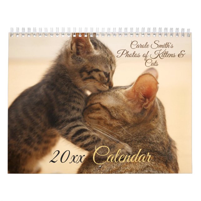 Photos of Cats & Kittens 20XX Calendar (Cover)