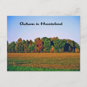 Photos of different areas of the United States Postcard