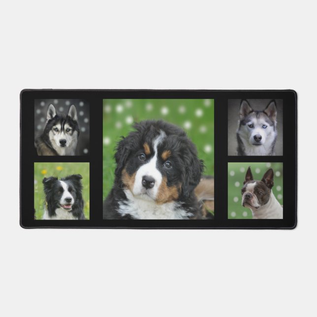Photos personnalisées de Chien noir et blanc sur N (Recto)