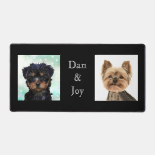 Photos personnalisées de petits chiens sur le chat