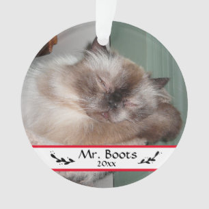 Photos personnalisées pour animaux de compagnie de