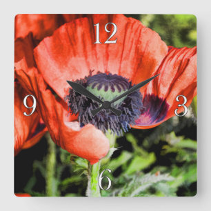 Photos Rouge et Fleurs d'Etrelon Flora Horloge pho