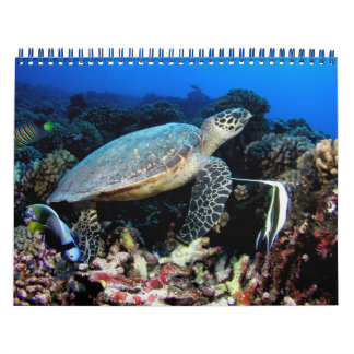 Photos sous-marines Calendrier 2012