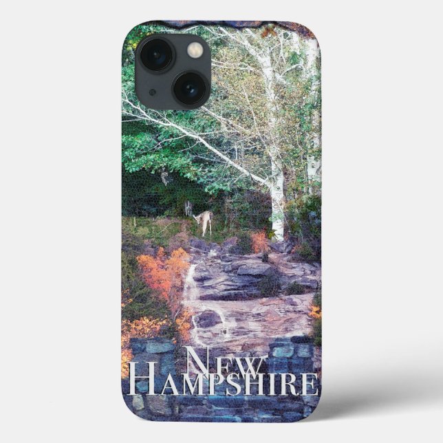 Photoscenic New Hampshire Case-Mate iPhone Case (Back)