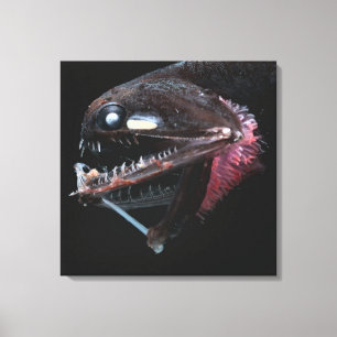 Photostomias Guernei Canvas Print