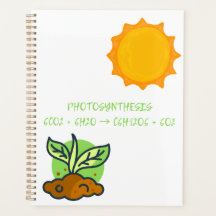 Photosynthèse