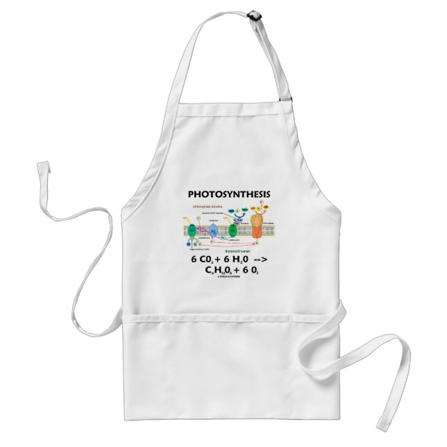 Photosynthesis (Carbon Dioxide + Water) Standard Apron (Front)
