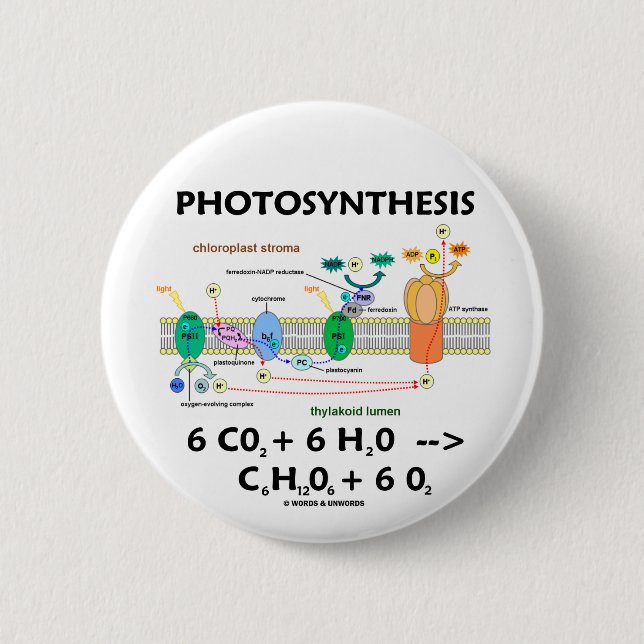 Photosynthesis (Chemical) Formula 2 Inch Round Button (Front)