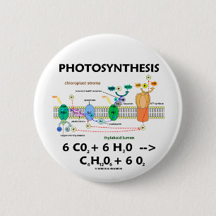 Photosynthesis (Chemical) Formula 2 Inch Round Button