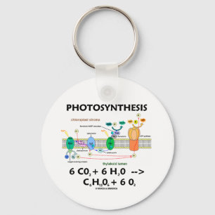 Photosynthesis (Chemical) Formula Keychain