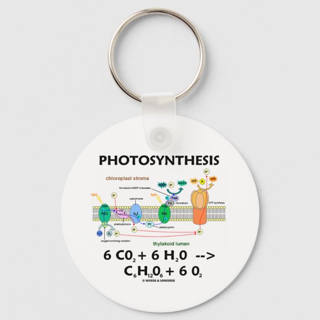 Photosynthesis (Chemical) Formula Keychain (Front)