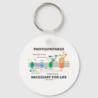 Photosynthesis Necessary For Life Keychain