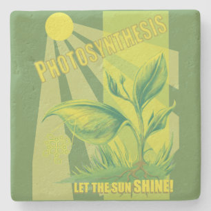 Photosynthesis Stone Coaster