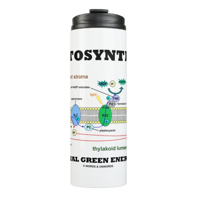 Photosynthesis The Original Green Energy Source Thermal Tumbler (Front)