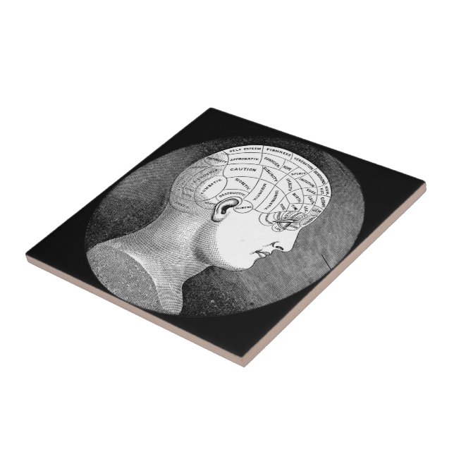 Phrenology Head Diagram Tile (Side)