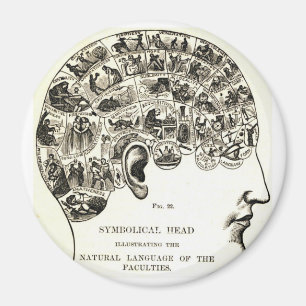 Phrenology Magnet