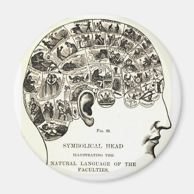 Phrenology Magnet (Front)
