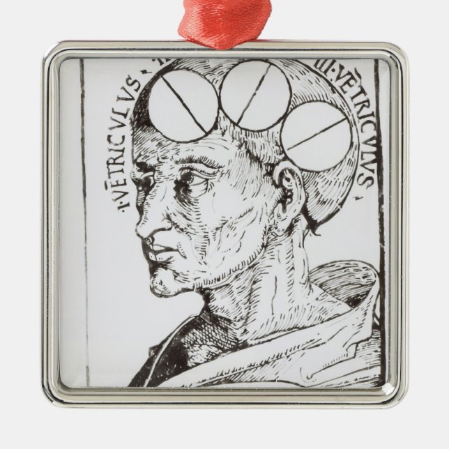 Phrenology Metal Ornament (Front)