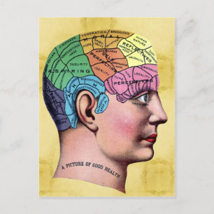 Phrenology Postcard