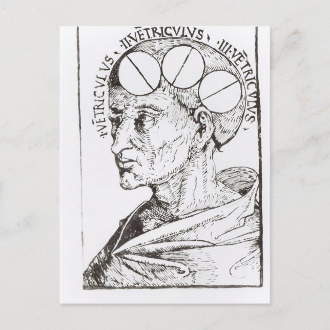 Phrenology Postcard (Front)