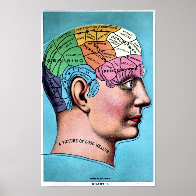 Phrenology Poster (Front)