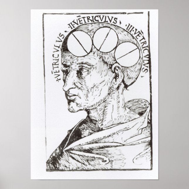 Phrenology Poster (Front)