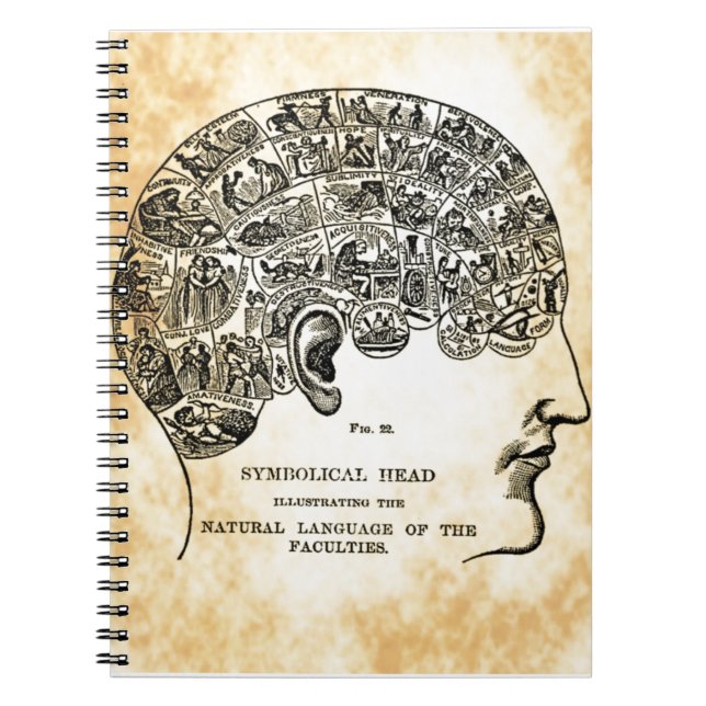 Phrenology Steampunk Vintage Notebook (Front)