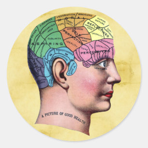 Phrenology Sticker