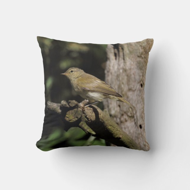 Phylloscopus collybita throw pillow (Front)