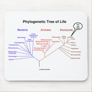 Phylogenetic Tree Of Life - You Are Here (Biology) Mouse Pad