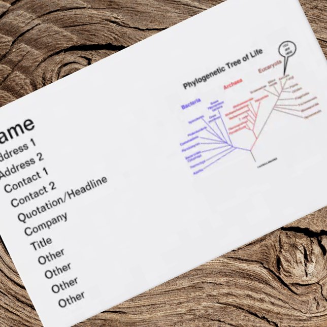 Phylogenetic Tree Of Life You Are Here Business Card (Creator Uploaded)