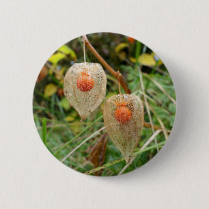 Physalis alkekengi Badge 2 Inch Round Button