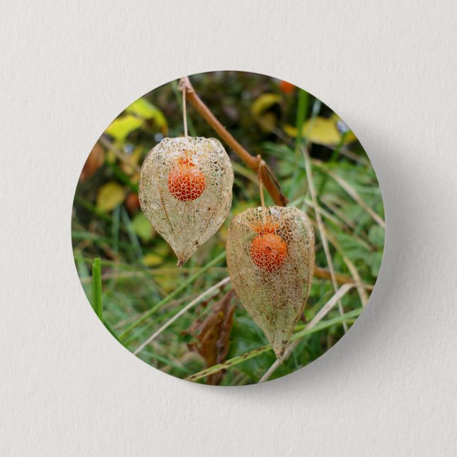 Physalis alkekengi Badge 2 Inch Round Button (Front)