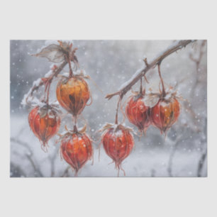 Physalis Fruit on a branch in the Snow Tissue Paper
