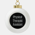 Physical Therapist Assistant Extraordinaire
