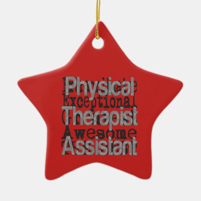 Physical Therapist Assistant Extraordinaire Ceramic Ornament (Front)