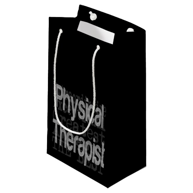 Physical Therapist Extraordinaire Small Gift Bag (Front Angled)