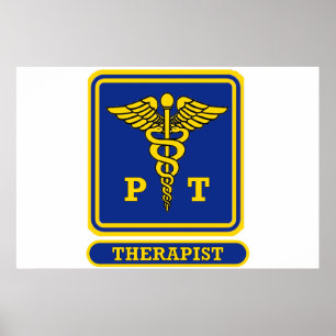 Physical Therapist Poster