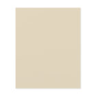 Physical Therapist Therapy Clinic